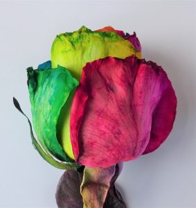 Alla Hjärtans Dag Ros